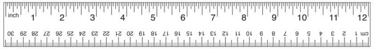 12 Inch Ruler Actual Size Printable Printable Word Searches