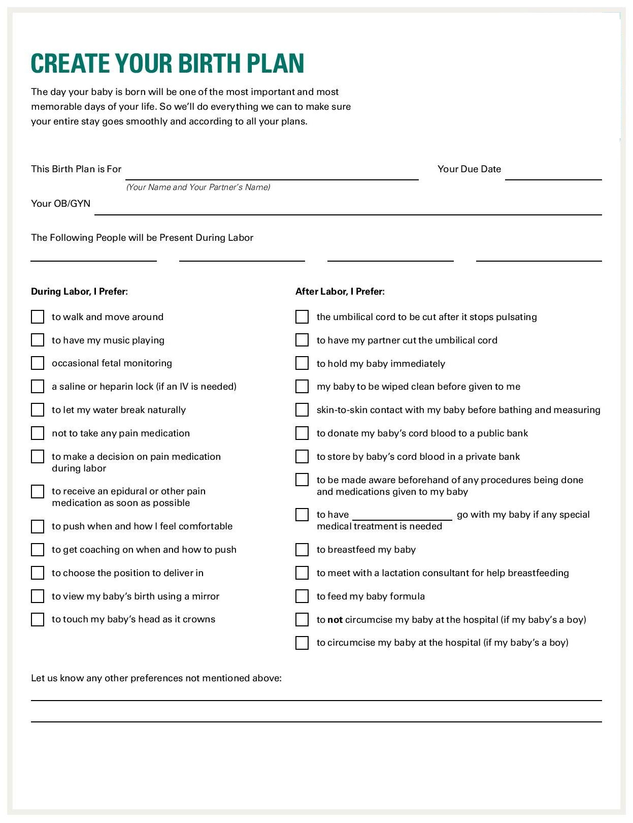 Sample Birth Plan Template